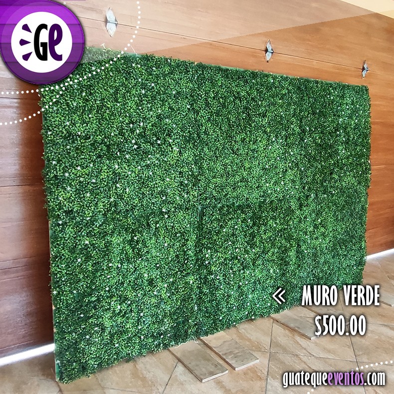 Muro verde de 3 metros por 2 metros de alto